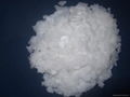 Caustic Soda flakes 1