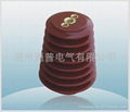 epoxy resin insulators 4