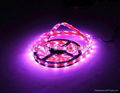 Led Flexible Strip Lights