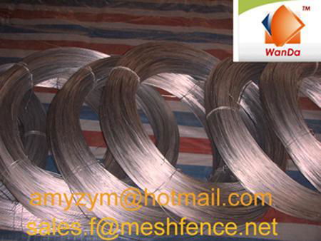 sell electro galvanized iron wire