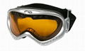 Ski goggle 1