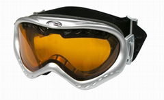 Ski goggle