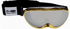 Ski goggle