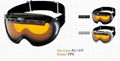 Ski Goggle (SNOW-200)