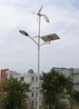 solar&wind hybrid street light