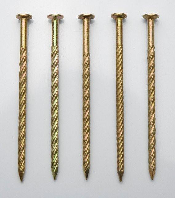 Common Iron Nail