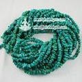 nature turquoise A grade chip loose strands 4