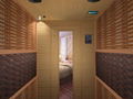 Tourmaline dry sauna room 1