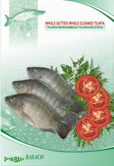 FROZEN WHOLE TILAPIA