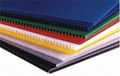 pp plastic sheet  