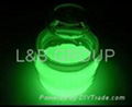 GLOW IN THE DARK PIGMENT