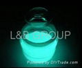 GLOW IN THE DARK PIGMENT 2