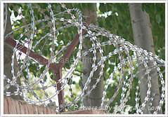 razor barbed wire