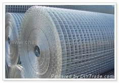 Welded Wire Mesh