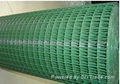 Welded Wire Mesh 2