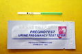 驗孕試紙（HCG)