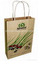 Kraft Paper bags 1