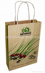 Kraft Paper bags