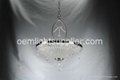 PLMD-10142-Modern Crystal Pendant Lamp