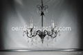 European Transitional Crystal Chandelier