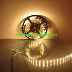 5050 led strip (single color or RGB color)