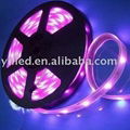 SMD5050 waterproof RGB led strip light