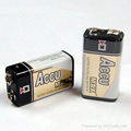 alkaline battery 3