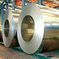 Hot-Dip Galvanized Steel Sheet in Coil 1