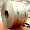 Cold-Roll Galvanized Steel Sheet in Coil