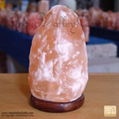 Himalayan Salt Lamp 2