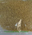 Soy Protein Textured  1