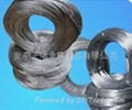 annealed wire mesh 2