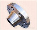 Welding Neck Flanges 5