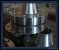 API Flanges 3