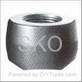 Forged Steel Socket Welding Coupling/Nipple/Plug/Elbow/Tee/Cap 1