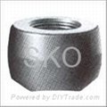 Forged Steel Socket Welding Coupling/Nipple/Plug/Elbow/Tee/Cap 3