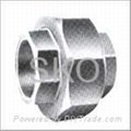 Forged Steel Thread Union/Elbow/Tee/Cap/Union/Bushing/Plug