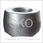 China Forged Steel Socket Welding Coupling 5