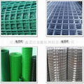 welded wire mesh 2