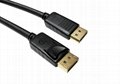 Display port cable