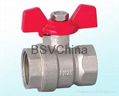 BSV Ball Valve B1011