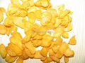 Corn flakes Breakfast Cereals Processing