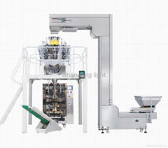 LT420 Vertical Automatic Packing Machine