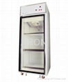 Chromatography chamber/ Chromatography refrigerator/ Pharmacy refrigerator 1