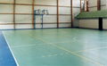 pvc floor for indoor sports court 1