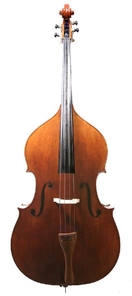 Double Bass