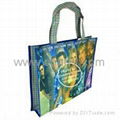 PET non woven bag 1