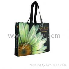 pp non woven shopping bag