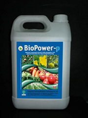 BioPower-P Seaweed Extract