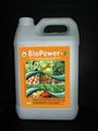 BioPower-V Seaweed Extract